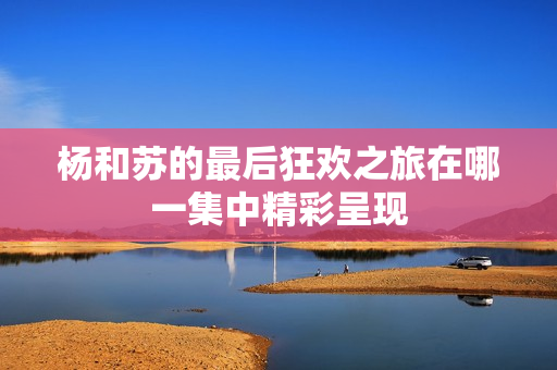 杨和苏的最后狂欢之旅在哪一集中精彩呈现