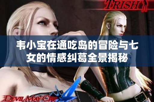 韦小宝在通吃岛的冒险与七女的情感纠葛全景揭秘