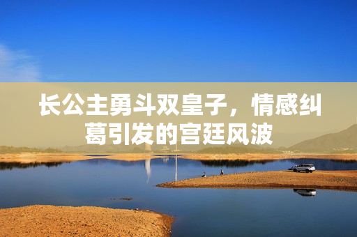 长公主勇斗双皇子，情感纠葛引发的宫廷风波