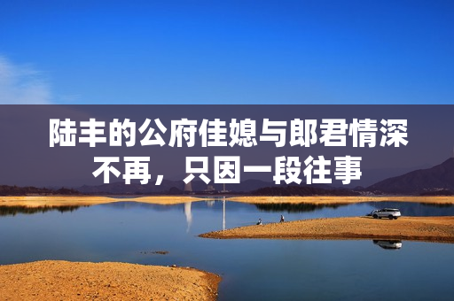 陆丰的公府佳媳与郎君情深不再，只因一段往事