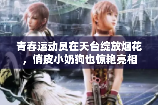 青春运动员在天台绽放烟花，俏皮小奶狗也惊艳亮相