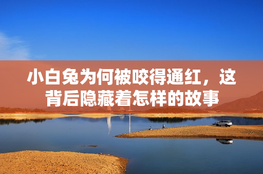 小白兔为何被咬得通红，这背后隐藏着怎样的故事