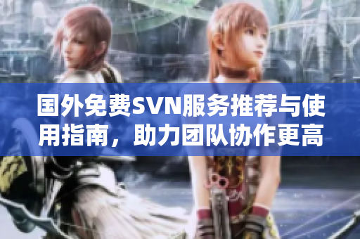 国外免费SVN服务推荐与使用指南，助力团队协作更高效