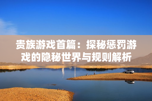 贵族游戏首篇：探秘惩罚游戏的隐秘世界与规则解析