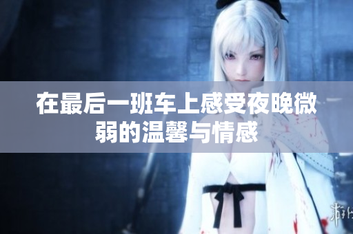 在最后一班车上感受夜晚微弱的温馨与情感
