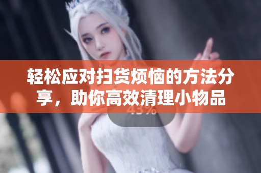 轻松应对扫货烦恼的方法分享，助你高效清理小物品
