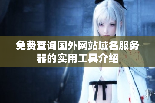 免费查询国外网站域名服务器的实用工具介绍