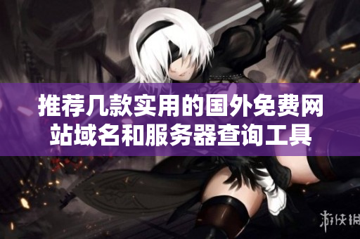 推荐几款实用的国外免费网站域名和服务器查询工具