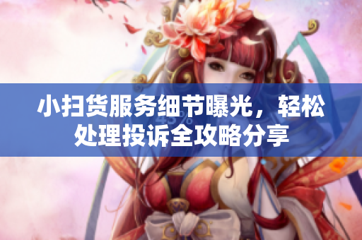 小扫货服务细节曝光，轻松处理投诉全攻略分享