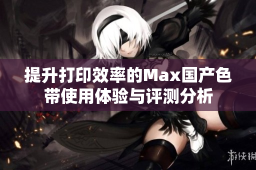 提升打印效率的Max国产色带使用体验与评测分析
