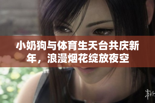 小奶狗与体育生天台共庆新年，浪漫烟花绽放夜空