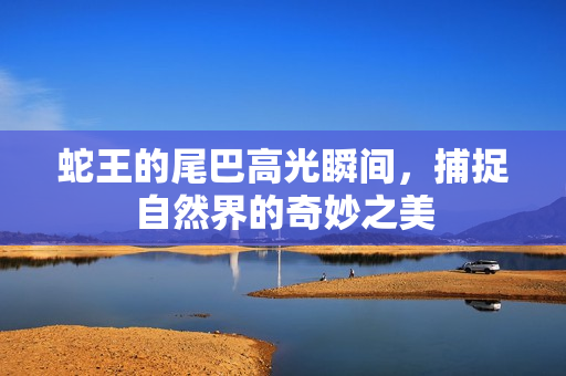 蛇王的尾巴高光瞬间，捕捉自然界的奇妙之美