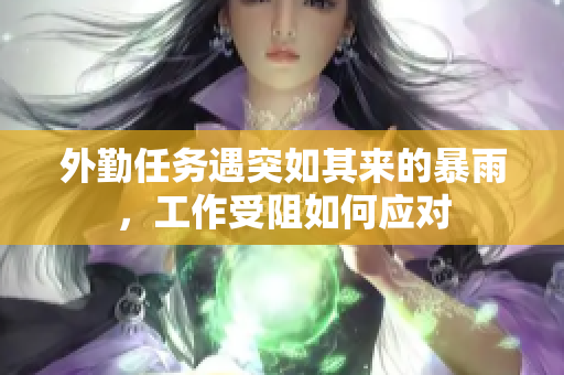 外勤任务遇突如其来的暴雨，工作受阻如何应对