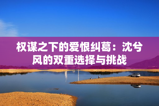 权谋之下的爱恨纠葛：沈兮风的双重选择与挑战
