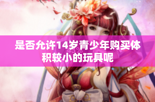是否允许14岁青少年购买体积较小的玩具呢