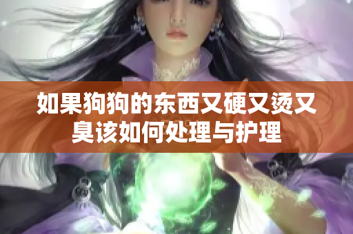 如果狗狗的东西又硬又烫又臭该如何处理与护理