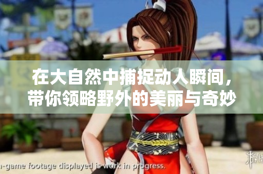 在大自然中捕捉动人瞬间，带你领略野外的美丽与奇妙
