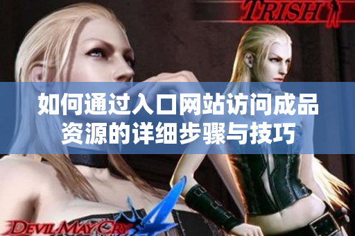如何通过入口网站访问成品资源的详细步骤与技巧