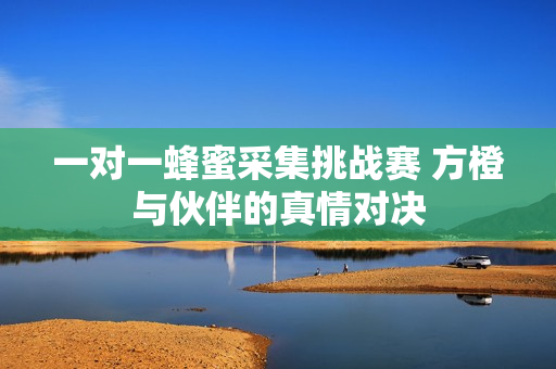 一对一蜂蜜采集挑战赛 方橙与伙伴的真情对决