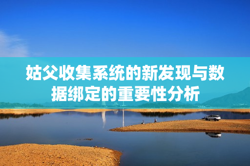 姑父收集系统的新发现与数据绑定的重要性分析