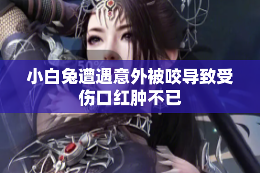 小白兔遭遇意外被咬导致受伤口红肿不已