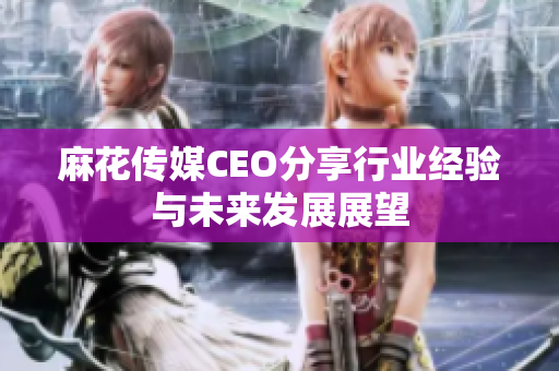 麻花传媒CEO分享行业经验与未来发展展望