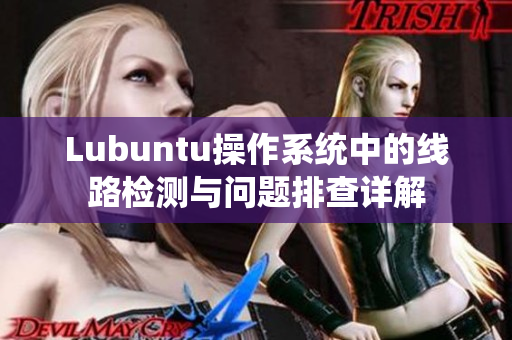 Lubuntu操作系统中的线路检测与问题排查详解