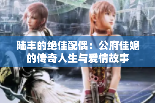 陆丰的绝佳配偶：公府佳媳的传奇人生与爱情故事