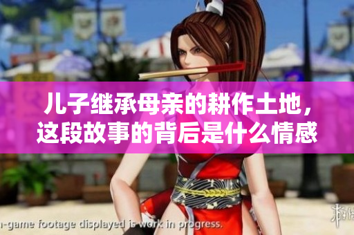 儿子继承母亲的耕作土地，这段故事的背后是什么情感与责任