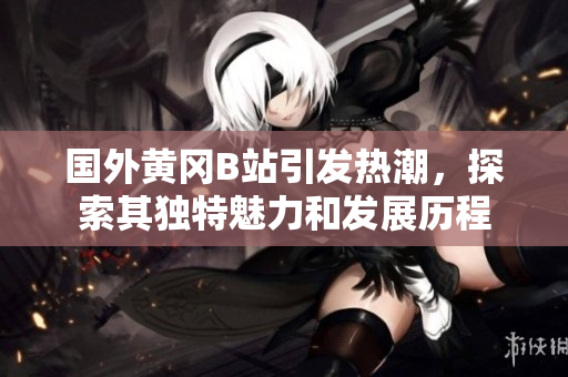国外黄冈B站引发热潮，探索其独特魅力和发展历程