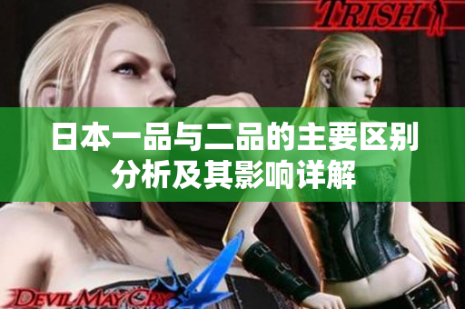 日本一品与二品的主要区别分析及其影响详解