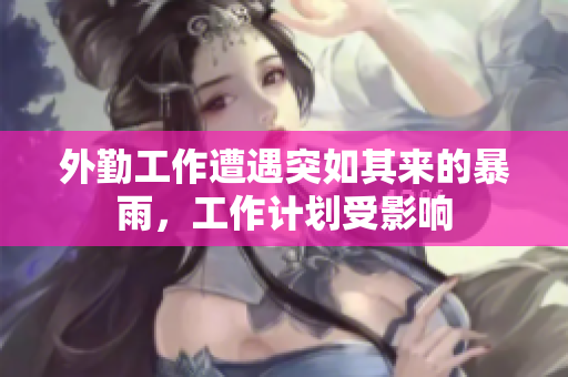 外勤工作遭遇突如其来的暴雨，工作计划受影响