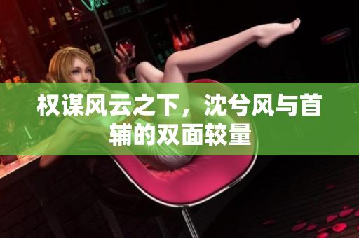权谋风云之下，沈兮风与首辅的双面较量