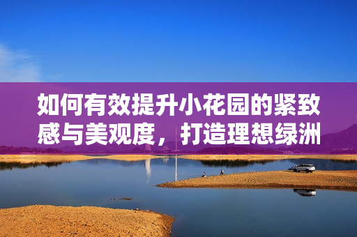如何有效提升小花园的紧致感与美观度，打造理想绿洲