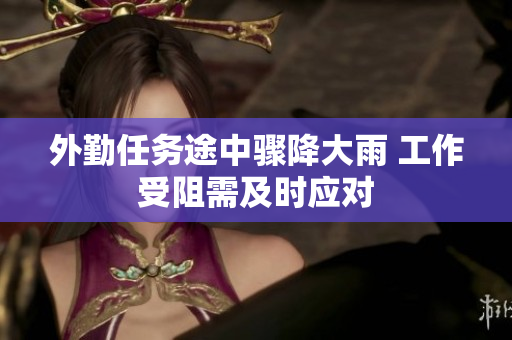 外勤任务途中骤降大雨 工作受阻需及时应对
