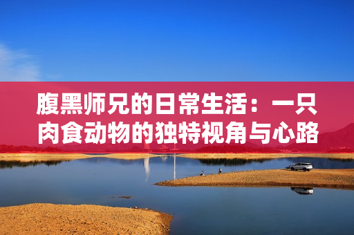 腹黑师兄的日常生活：一只肉食动物的独特视角与心路历程