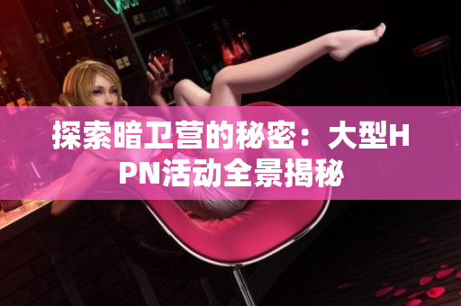 探索暗卫营的秘密：大型HPN活动全景揭秘