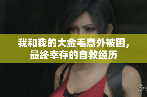 我和我的大金毛意外被困，最终幸存的自救经历