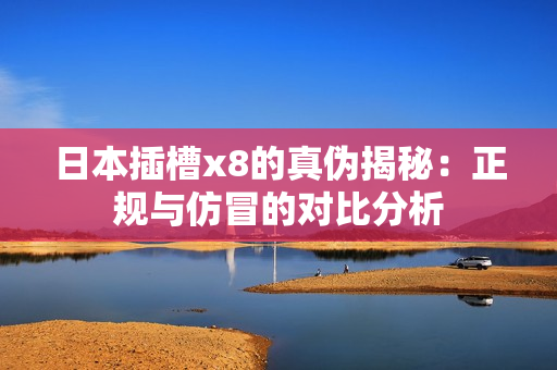 日本插槽x8的真伪揭秘：正规与仿冒的对比分析