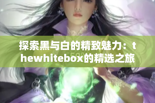 探索黑与白的精致魅力：thewhitebox的精选之旅