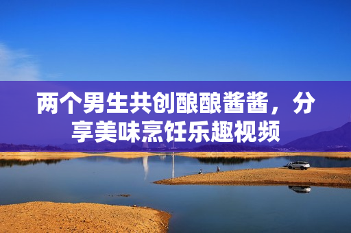 两个男生共创酿酿酱酱，分享美味烹饪乐趣视频