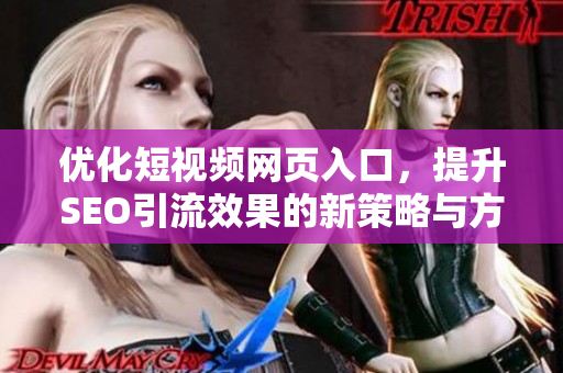 优化短视频网页入口，提升SEO引流效果的新策略与方法