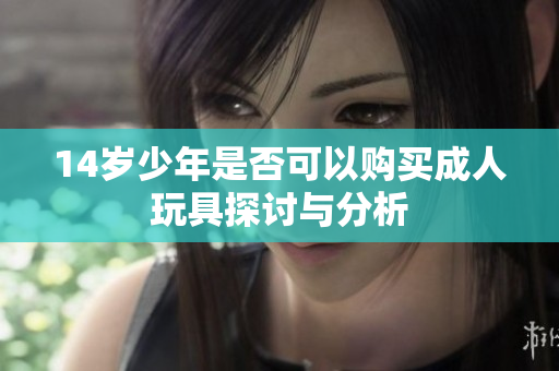 14岁少年是否可以购买成人玩具探讨与分析