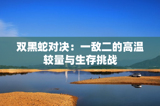 双黑蛇对决：一敌二的高温较量与生存挑战
