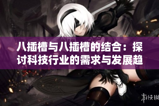 八插槽与八插槽的结合：探讨科技行业的需求与发展趋势