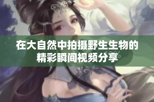 在大自然中拍摄野生生物的精彩瞬间视频分享