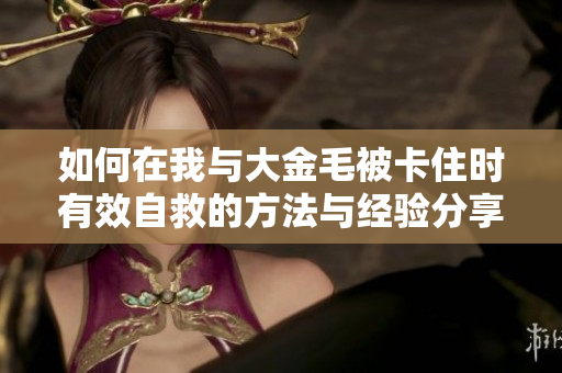 如何在我与大金毛被卡住时有效自救的方法与经验分享