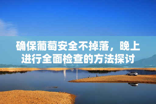 确保葡萄安全不掉落，晚上进行全面检查的方法探讨