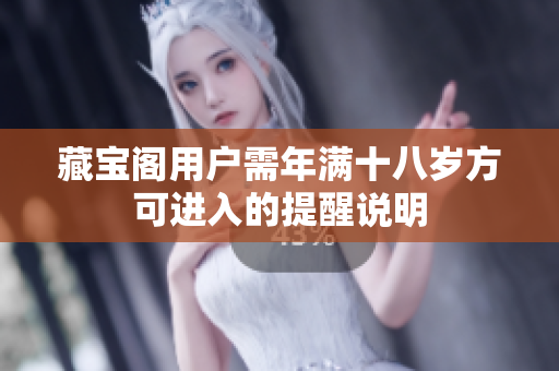 藏宝阁用户需年满十八岁方可进入的提醒说明