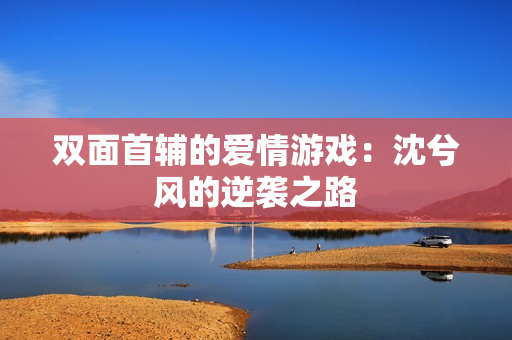 双面首辅的爱情游戏：沈兮风的逆袭之路